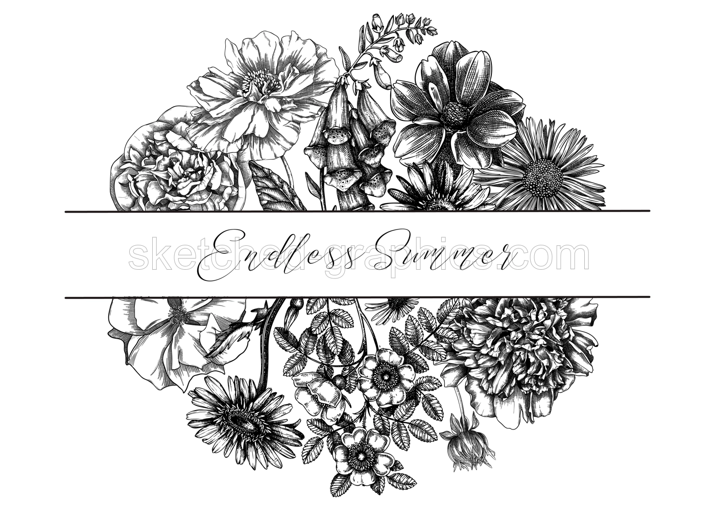 Summer flowers composition in vintage style. Hand-sketched garden plants frame design. Perfect for greeting cards, wedding invites, banners. Botanical illustration with floral outlines. Illustration